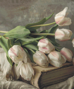 IP001 - Fresh Tulips on an antique book