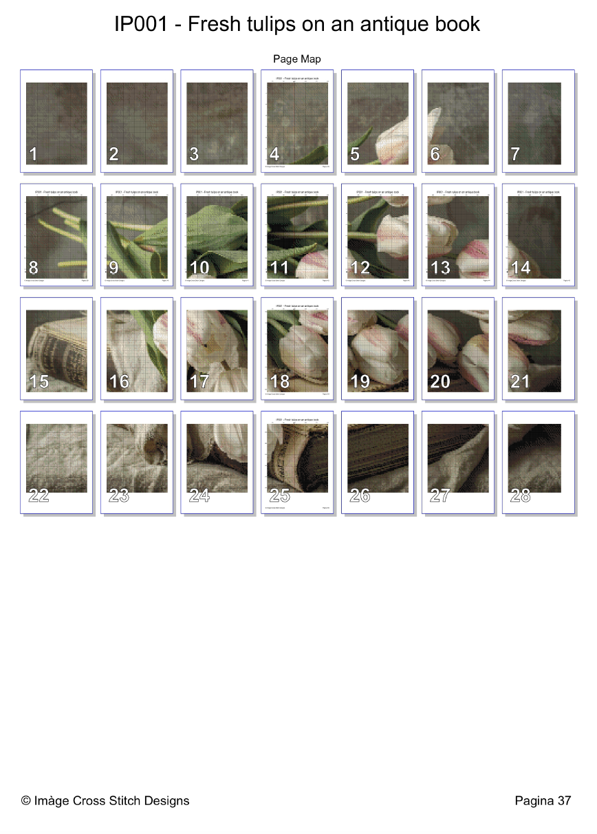 Imàge Fresh Tulips on an Antique Book IP001 - Image 3