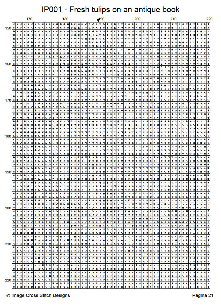 Imàge Fresh Tulips on an Antique Book IP001 - Image 2